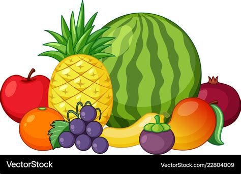 Mix Fruits Clipart Black And White