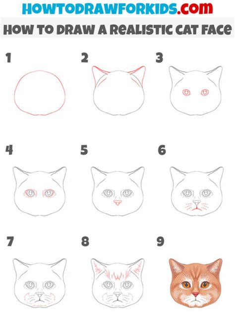How To Draw A Realistic Cat Face Easy Drawing Tutorial For Kids