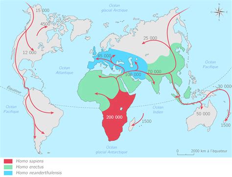 Les Débuts De Lhumanité Cours Histoire Kartable