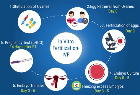 10 Best Clinics For In Vitro Fertilization Ivf In Thailand 2020 Prices
