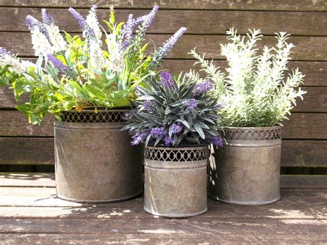 Moonflowers or columbine are especially effective for this, with their delicate vines and beautiful blooms. French Vintage Style Set of 3 Metal Garden Planters ...