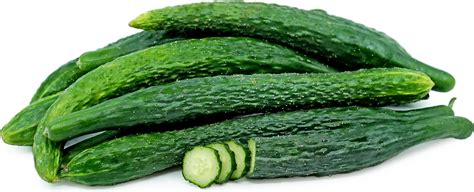 What's the chinese word for cucumber? Chinese Cucumbers Information and Facts