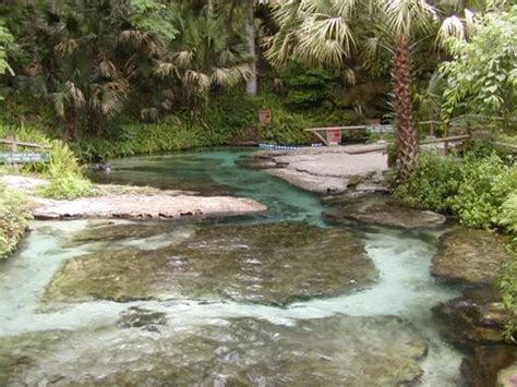 The population was 23,036 at the 2010 census, making it the fifth most. Florida Springs Project Overview - Cambrian Foundation