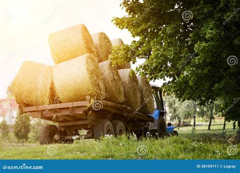 Farmers Harvesting Hay Stock Image Image Of Landscape 28109711
