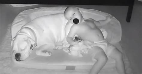 ¡adorable Bebé Escapa De Su Cama Para Dormir En La Camita