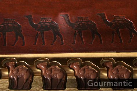 Al nassma is the world's first and finest camel milk chocolate maker. Al Nassma Camel Milk Chocolate, Dubai