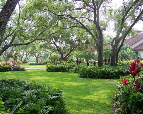 22 Tree Shade Landscaping Ideas For Your Yards Ncgo