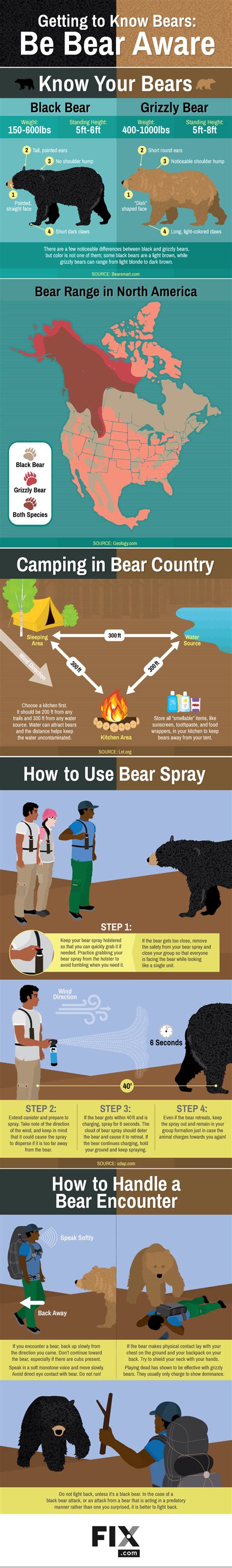 Getting To Know Bears Be Bear Aware Bear Safety