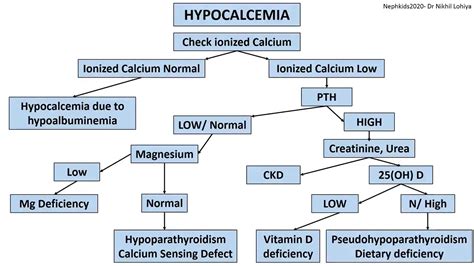 Hypocalcemia Workup Algorithm Dr Nikhil Lohiya Grepmed