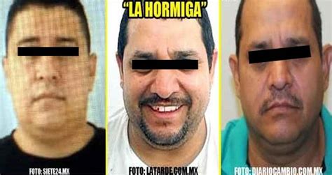 ¡es Detenido En Aguascalientes Fernando La Hormiga Jefe De Plaza Del