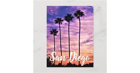 San Diego Palm Tree Sunset Holiday Postcard Zazzle