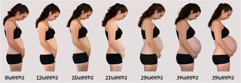 Живот при беременности по неделям в картинках на толстую фигуру фото