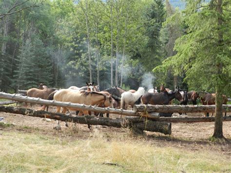 Horse Pack Trips U Bar Ranch