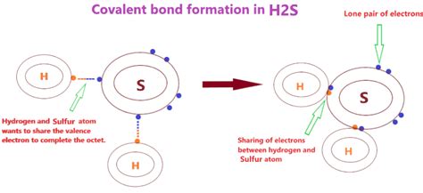 Is H2s Ionic Or Covalent Or Both Type Of Bond In Hydrogen Sulfide