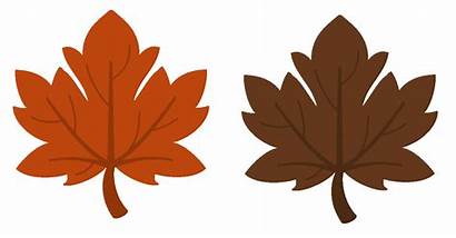 Clip Leaves Fall Autumn Leaf Clipart Clipartbarn