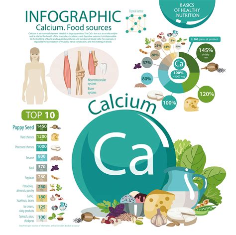 calcium sources benefits and effects on bodybuilding
