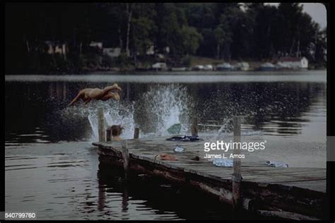 Skinny Dipping Lake Imagens E Fotografias De Stock Getty Images