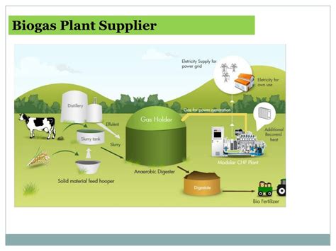 Biogas Power Generation Ppt Anabelsrcruz
