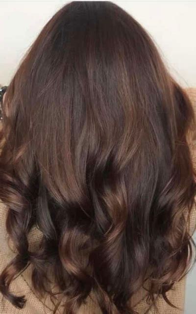 Trendy Hazelnut Mocha Hair Colors You Must Try Vyhairlife Com