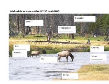 5 of the questions are standard multiple choice, 5 questions are identifying from a picture.with what standard does this resource align?this resource. Identify Biotic versus Abiotic Factors worksheet by Brown ...