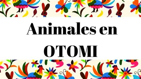 🐵 Lista De Animales Diccionario Para Aprender Esta Lengua