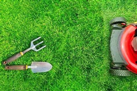 Envii greenkeeper's secret (our top pick). Lawn Care & Gardening: DIY vs. Hiring a Professional