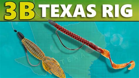 INTERMEDIATE GUIDE To BASS FISHING 3B Texas Rig YouTube