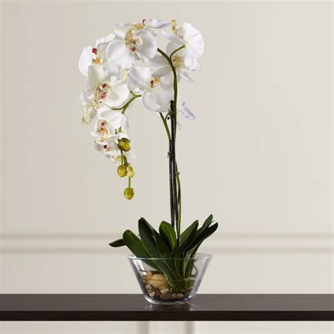 Three Posts Phalaenopsis Silk White Orchid In Glass Vase And Reviews Wayfair