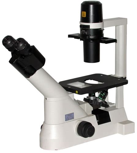 Nikon Ts100 Inverted Phase Contrast Microscope