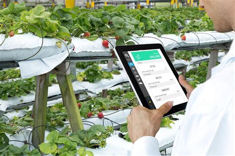 Digitalisasi Pertanian Dengan Implementasi Aplikasi Agree Pt Telkom