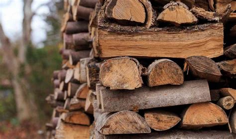 How To Dry Firewood Fast 6 Easy Tips