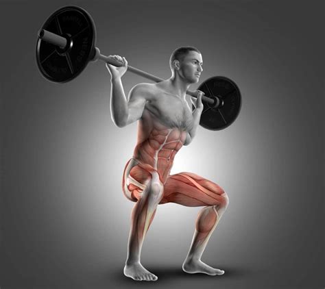 The 12 Best Squat Variations For Hypertrophy And Strength Fitness Volt