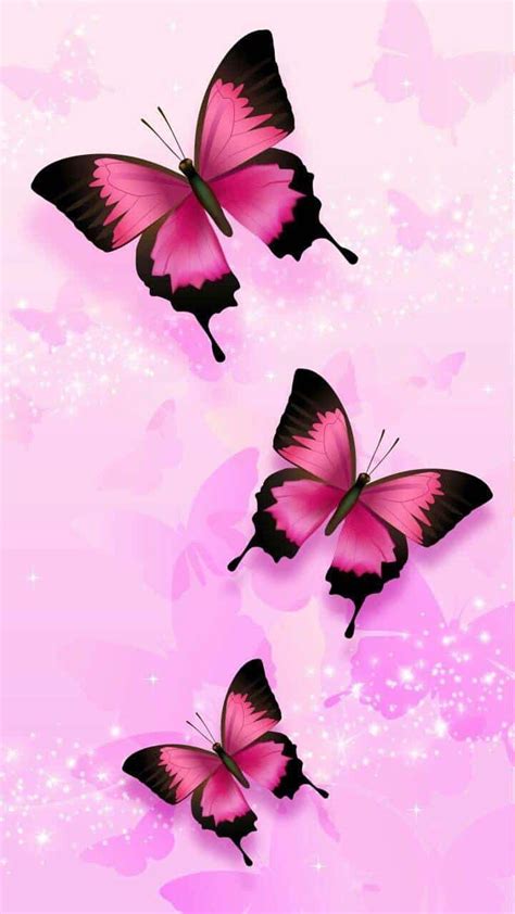 Beautiful Butterfly Wallpapers For You And All Those Who Love Them