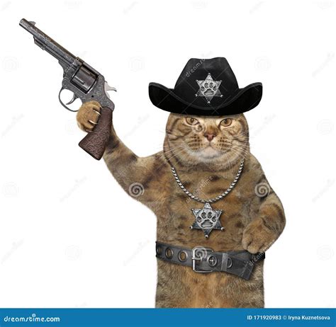Cat Policeman In Cowboy Hat 2 Stock Image Image Of Policeman Cowboy