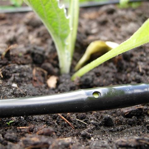 Click & Drip Irrigation Kit - Harrod Horticultural