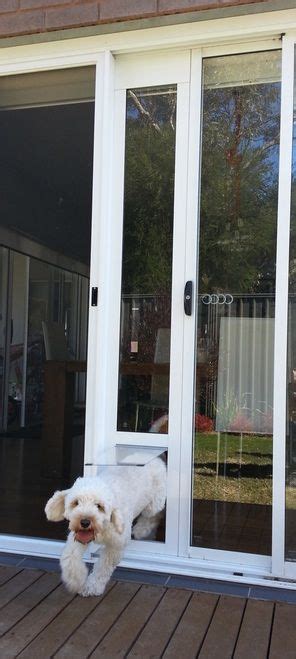 Phoenix sliding glass dog doors. Modern Pet Doors for Sliding Doors - easy DIY and ...