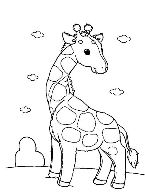 Funny Giraffe Coloring Page Netart