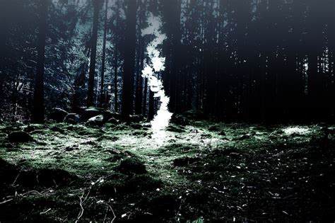 Forest Witchcraft The Forest Dark