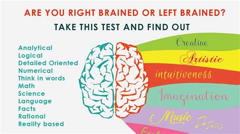 Idrlabs Sexual Orientation Quiz Telegraph