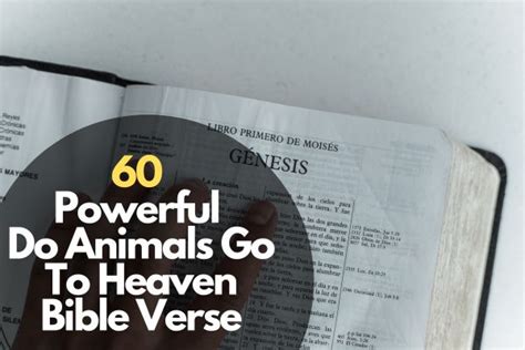 60 Powerful Do Animals Go To Heaven Bible Verse