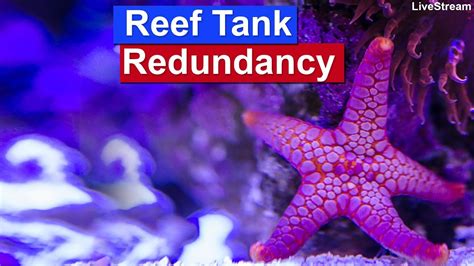 Reef Tank Redundancy Preventing Saltwater Tank Crashes Through Fail