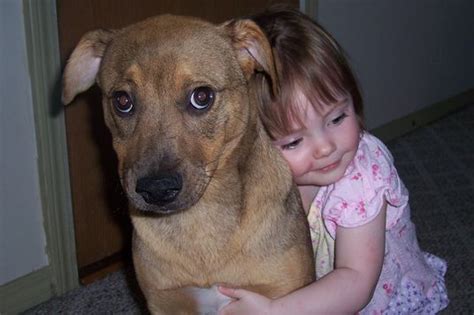 Your Dog Hates Hugs Science Of Us