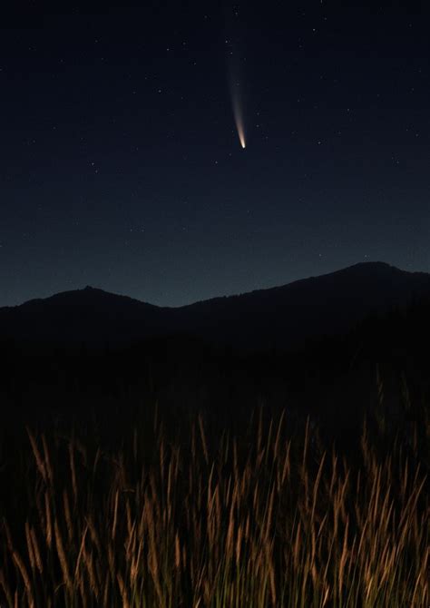 How To View One Of The Brightest Comets This Century Before Its Gone