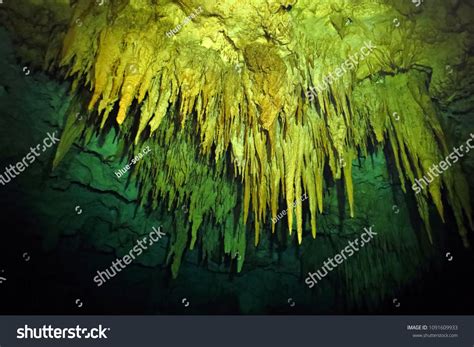 Underwater Cave Stalactites Cenote Ceiling Limestone Stock Photo Edit