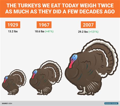 how much turkey for 22 people dekookguide