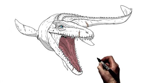 How To Draw A Mosasaurus From Jurassic World Step By Step Drawing My