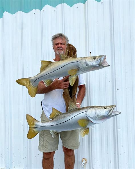 Snook Mounts Replica Fish Mounts From New Wave Taxidermy