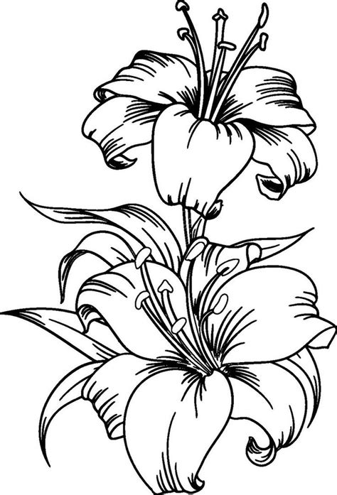 Lily SVG Lily Flower Svg Flower Svg Lily Svg Files For Cricut Lily