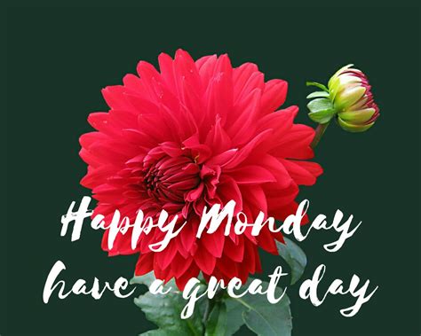 Beautiful Happy Monday Images With Wishes And Quotes And Messages