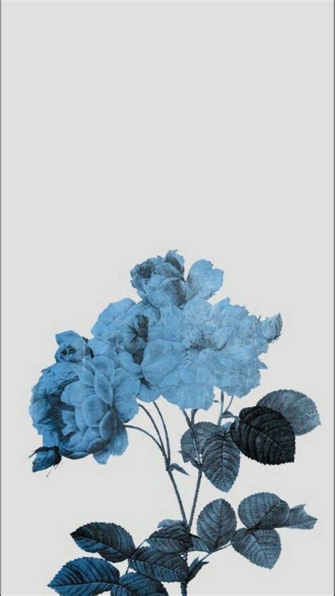 Dark Blue Flower Aesthetic Wallpapers Wallpaper Cave